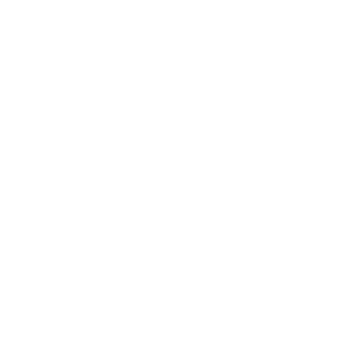 Tipos de entrenamiento