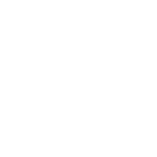 Entrenamiento en grupo